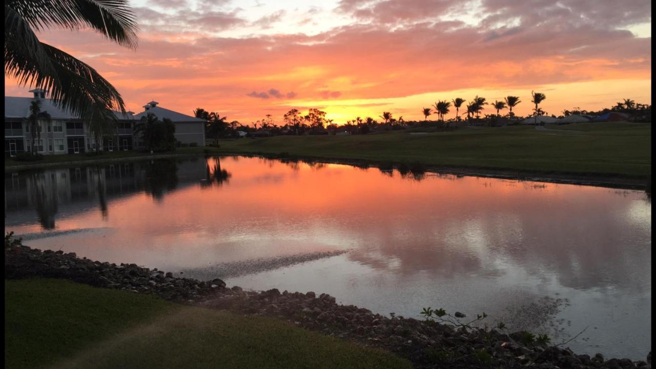 Greenlinks At Lely Luxury Purple Orchid Fully Renovated Modern 1St Floor 3Bdr Golf Resort Villa North North Naples المظهر الخارجي الصورة